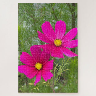 Puzzle Cosmos Magenta, Ciudad de Quebec