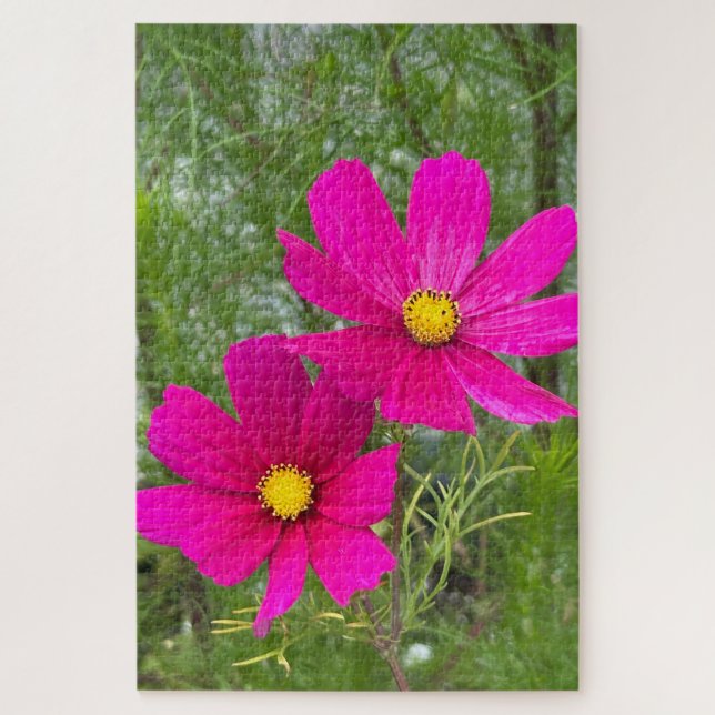 Puzzle Cosmos Magenta, Ciudad de Quebec (Vertical)