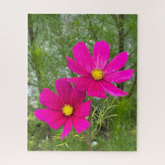 Puzzle Cosmos Magenta, Ciudad de Quebec