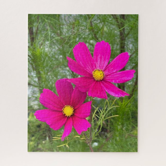 Puzzle Cosmos Magenta, Ciudad de Quebec (Vertical)
