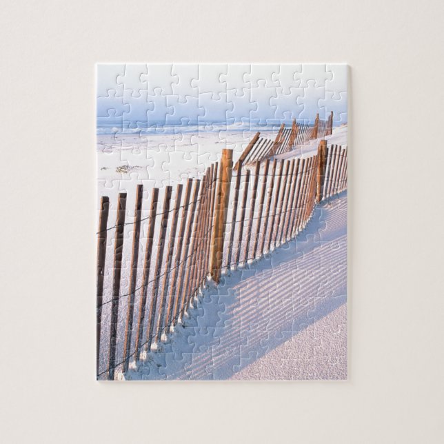 Puzzle Costa de la isla de Santa Rosa de la playa (Vertical)