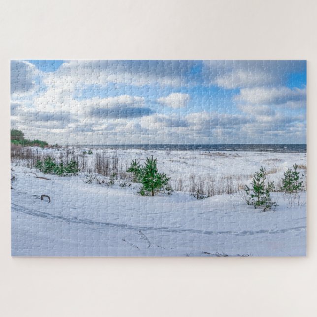 Puzzle Costa del Mar Báltico cubierta de nieve en inviern (Horizontal)