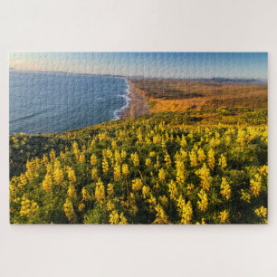 Puzzle Costa Nacional Point Reyes California