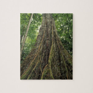 Puzzle Costa Rica, Parque Nacional Corcovado, Abutrado