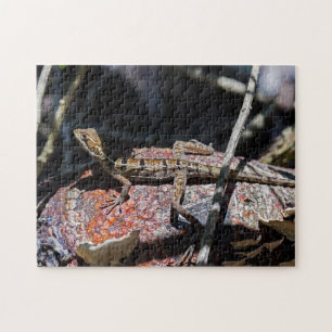 Puzzle Costa Rica, Punta Cahuita - Basílica femenina Liza