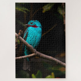 Puzzle Cotinga española