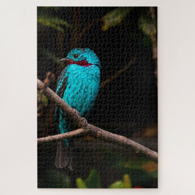 Puzzle Cotinga española (Vertical)