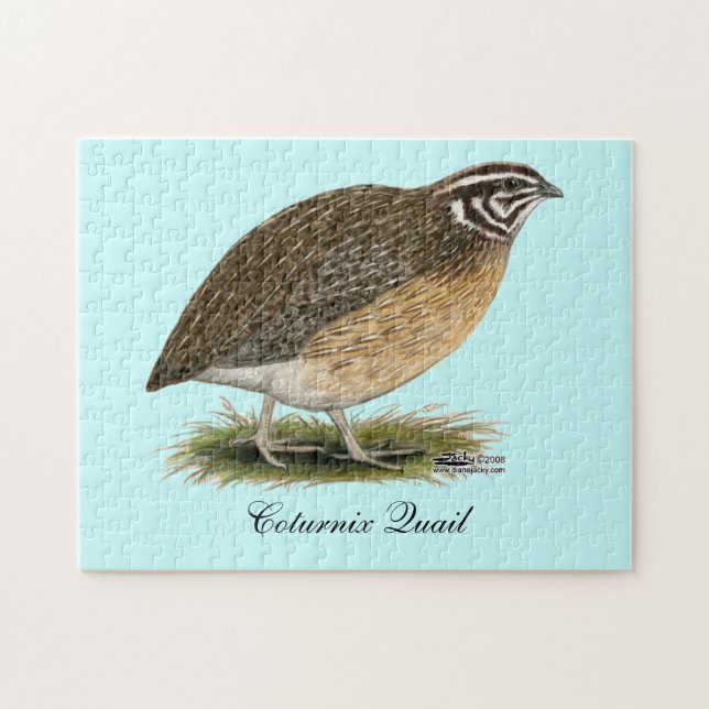 Puzzle Coturnix Pharaoh Quail (Horizontal)