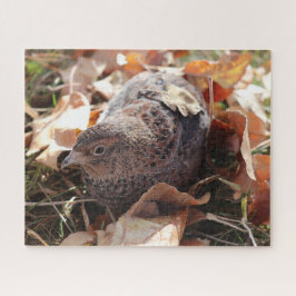 Puzzle Coturnix Quail en las hojas