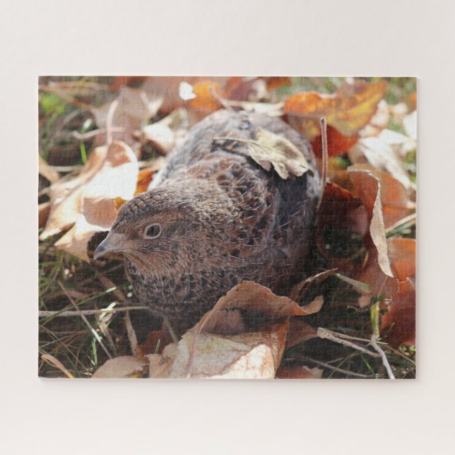 Puzzle Coturnix Quail en las hojas (Horizontal)