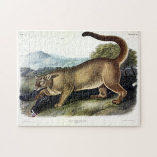 Puzzle Cougar, o Puma, Panther, León de Montaña, Catamoun
