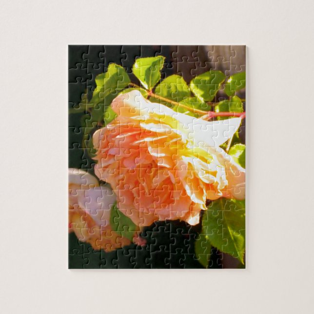 Puzzle Country Peach Roses (Vertical)