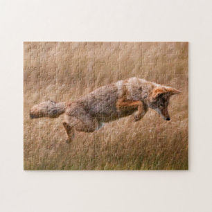 Puzzle Coyote que salta - prados del Gibbon