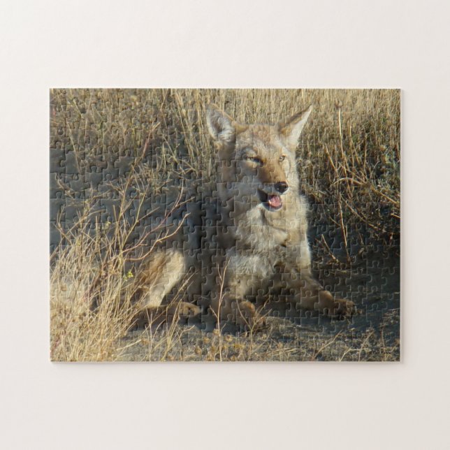 Puzzle Coyote R18 Acostado (Horizontal)