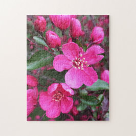 Puzzle Crabapple de floración rosa
