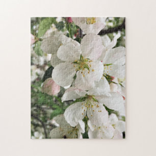 Puzzle Crabapple floreciente