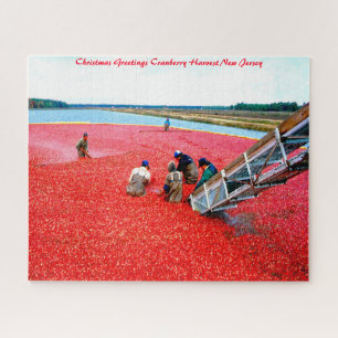 Puzzle Cranberry Harvest New Jersey.