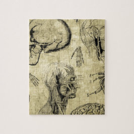 Puzzle Cráneo de Anatomía Vintage