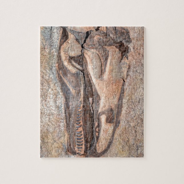 Puzzle Cráneo del Camarasaurus - monumento nacional del (Vertical)