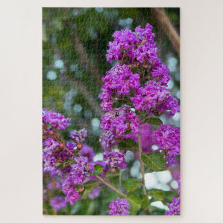 Puzzle Crapemyrtle Púrpura, Livermore