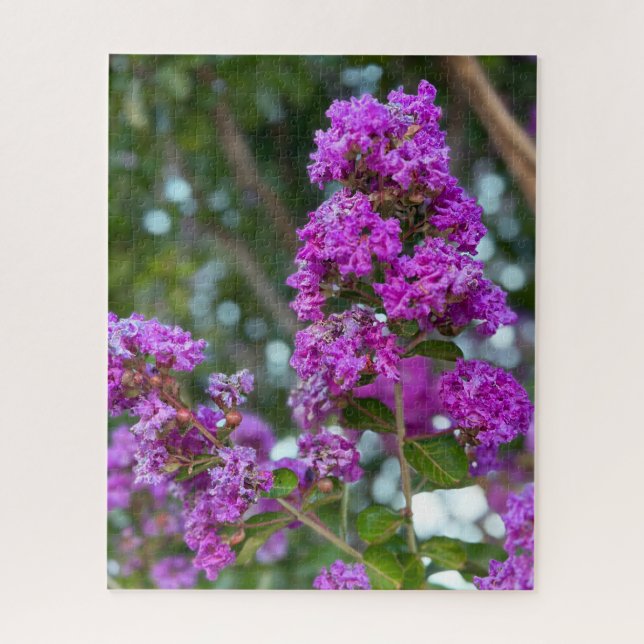 Puzzle Crapemyrtle Púrpura, Livermore (Vertical)