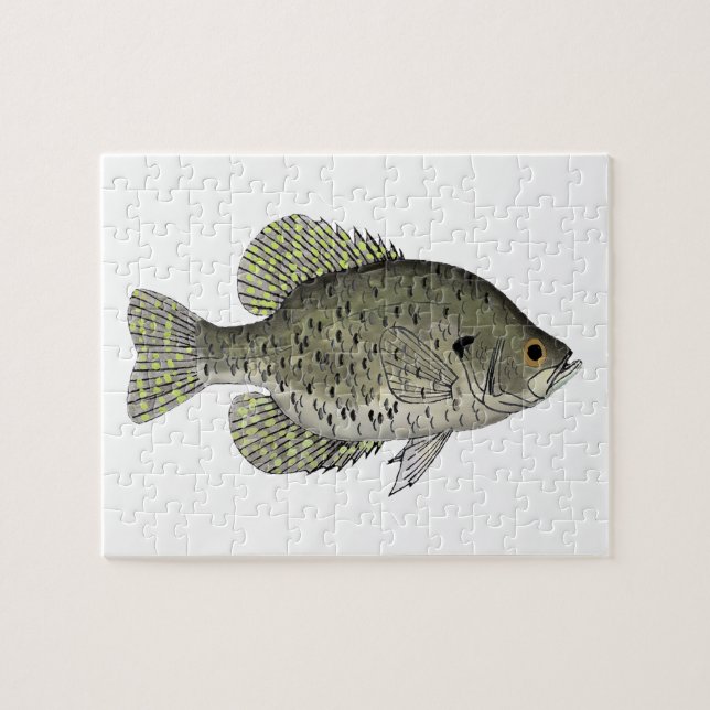 Puzzle Crappie negro (Horizontal)