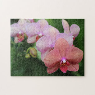 Puzzle Crea Tu Propia Flor de Orquídea Melocotón Bonita 