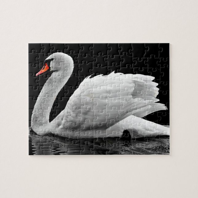 Puzzle Crea tu propia foto de naturaleza de cisne blanco (Horizontal)