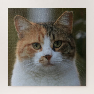 Puzzle Crea tu propia foto personalizada de tu gato como
