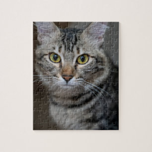 Puzzle Crea tu propia foto personalizada de tu gato masco