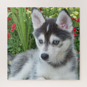 Puzzle Crea tu propia foto personalizada de tu mascota