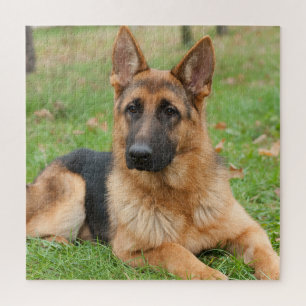 Puzzle Crea tu propia foto personalizada de tu mascota
