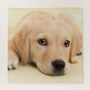 Puzzle Crea tu propia foto personalizada de tu mascota