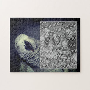 Puzzle Crea tu propio marco de foto de loro gris africano