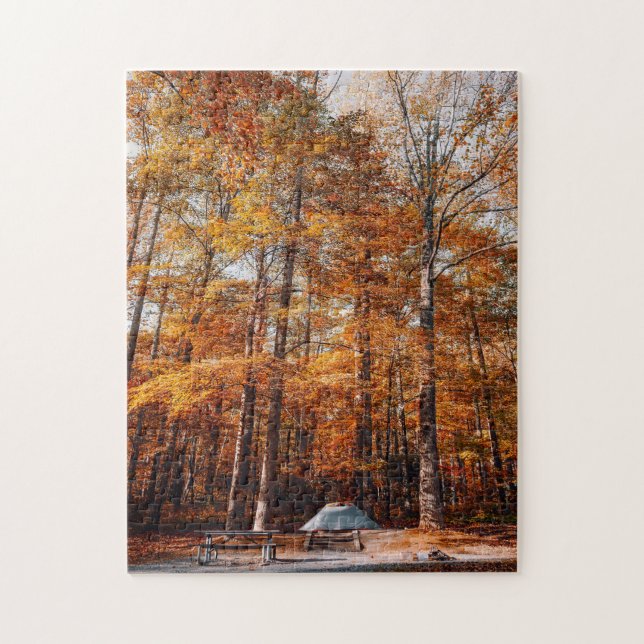 Puzzle Creek del río Smokey Mountain. (Vertical)