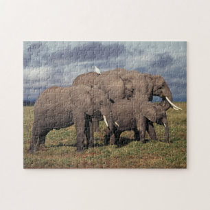 Puzzle Cría de elefante africano con familia