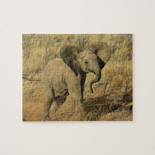 Puzzle Cría de elefante africano, Loxodonta Africana,