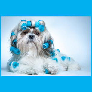 Puzzle Cría de perros