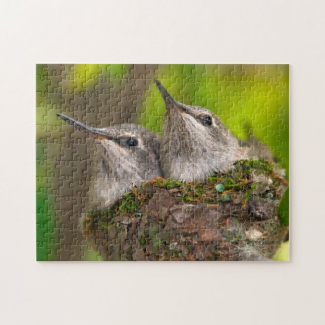 Puzzle Crías de colibríes (Horizontal)