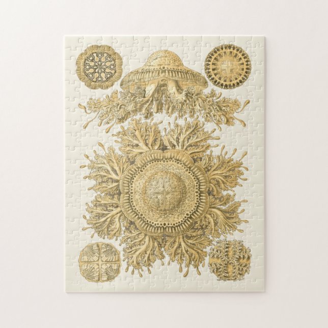 Puzzle Criaturas del Mar de Oro (Vertical)