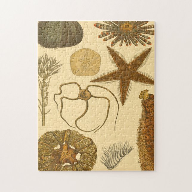 Puzzle Criaturas submarinas (Vertical)