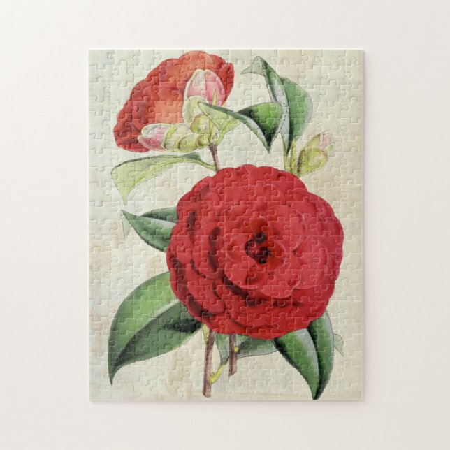 Puzzle Crimson Camellia (Vertical)
