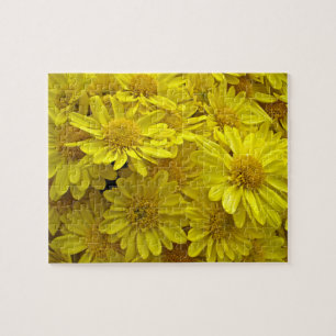 Puzzle Crisantemo Amarillo Sunshine