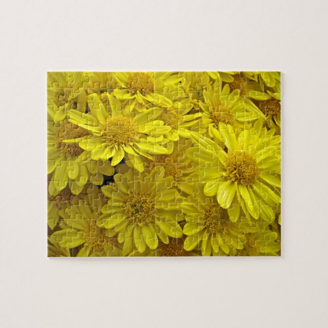 Puzzle Crisantemo Amarillo Sunshine (Horizontal)