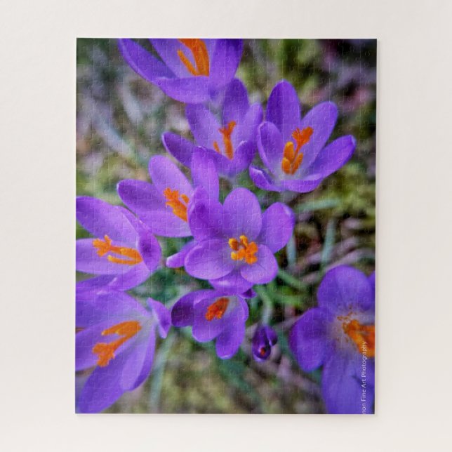 Puzzle Crocus Bella Artes (Vertical)