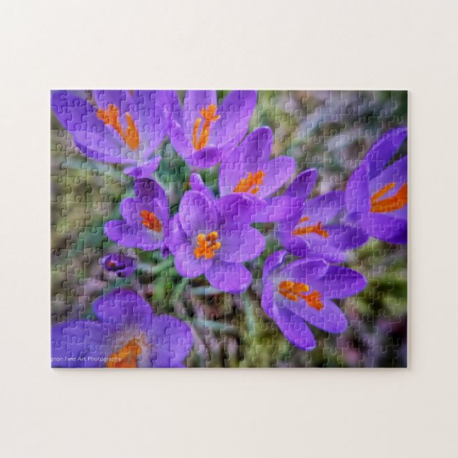 Puzzle Crocus Bella Artes (Horizontal)