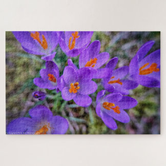 Puzzle Crocus Bella Artes