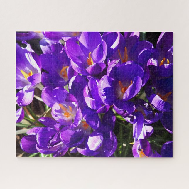 PUZZLE CROCUS DE PRIMAVERA (Horizontal)