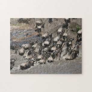 Puzzle cruce de wildebeest