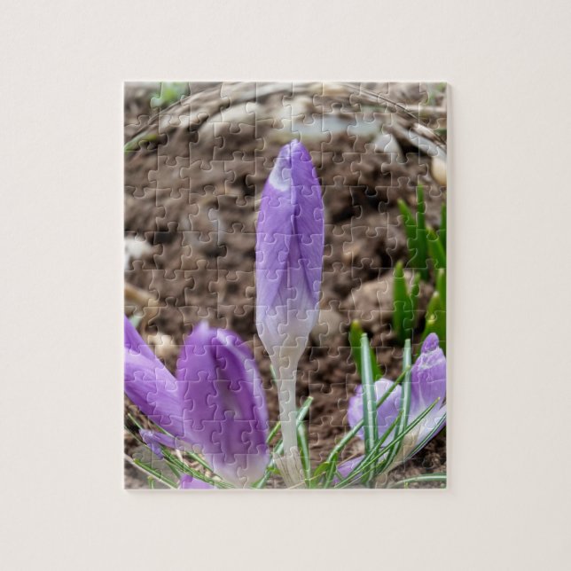 Puzzle Cruces de primavera (Vertical)